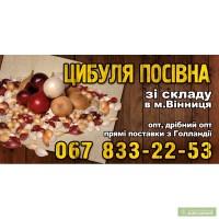 Лук-севок, Арпачик, тыканка, лук севок
