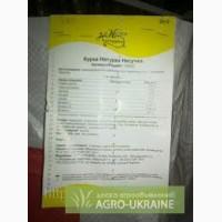 Комбікорм для курчат Курка-Натурка Гровер