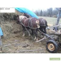 Характеристика