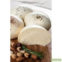 Продам домашний сыр, молоко, творог, сметану