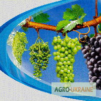 Фунгицид Талендо