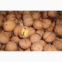 Продам орехи грецкие