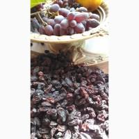 Продам изюм, сорт Кишмиш Юпитер