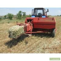 СЕНО В ТЮКАХ , Продам сено 2011г. 900 гр/т.!!!!!