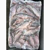 Продається риба с/м