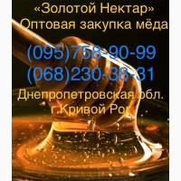 Золотой Нектар Оптовая закупка меда (Кривой Рог)
