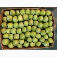 Продам яблоко Семеринка | Selling apples Semerika