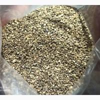Продам насіння мальви лісової (Malva sylvestris L)