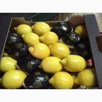 Прямые оптовые продажи Апельсина из Турции