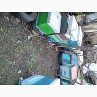 Продам пчёл отводки и семьи