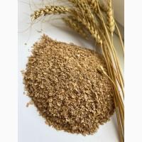 Продаж пшеничної висівки