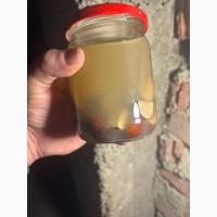 Кінський каштан настоянка