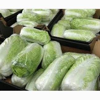 Приймаємо замовлення на пекінську капусту гуртом. Від 10 тонн