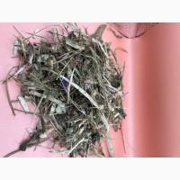 Куплю Лікарські Рослини, корінь, ягода Миколаївська обл