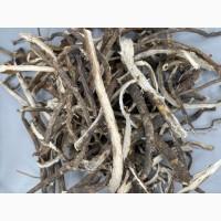 Куплю Лікарські Рослини, корінь, ягода Миколаївська обл