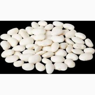 Приймаємо різні сорти квасолі на переробку