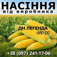 Насіння кукурудзи ДН Легенда / від виробника / ФАО 270