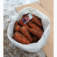 Продам крупную морковь 1-го сорта