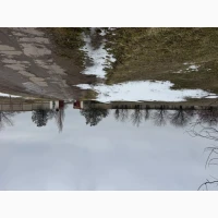 Аренда фермы / производственной базы 2000 м² + ангары, 4.6 га, свет 380В