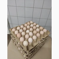 Продам товарне яйце С2 (до 48 г) 100 тис шт
