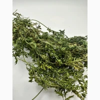 Куплю сушене зелене морквяне листя