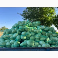 Продам капусту