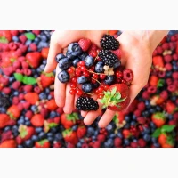 Куплю малим та великим оптом малину