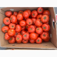 Продам помідор