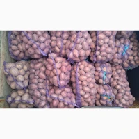 Продам товарну картоплю, сорт Пікассо, Есмі, Арізона, Гранада