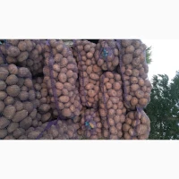 Продам товарну картоплю, сорт Пікассо, Есмі, Арізона, Гранада