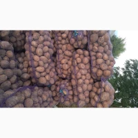Продам товарну картоплю, сорт Пікассо, Есмі, Арізона, Гранада