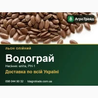 Насіння льону Водограй (олійний льон) - еліта, РН-1