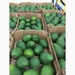 Продаем авокадо из Испании