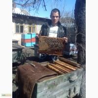 Продам пчоло пакеты
