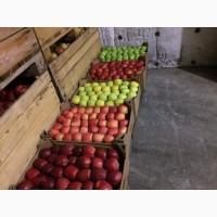 Продам Яблука з Молдови в/гат, в Закарпатті смт Буштино