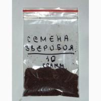 Семена зверобоя