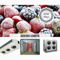 Шокова камера