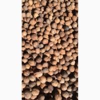 Куплю бойный орех 2024/2025