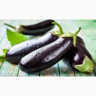 Продам семена Баклажан Лонг Вайалетт