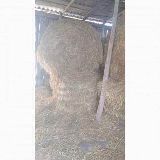 Продам вівсяну солому