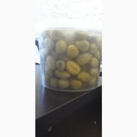 Помидор зеленый бочковой