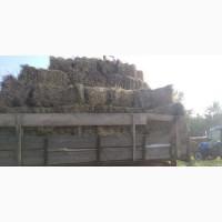 Продам дешево тюки сіна