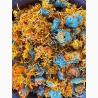 Цвіт календули, календула сушена, нагідки, цветки календулы