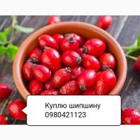 Куплю мокрый Шиповник