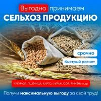 Закуповуємо сільгосп продукцію