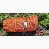 Морковка молодая