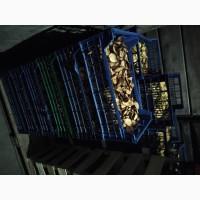 Продам сухофрукти у вакуумній упаковці