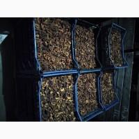 Продам сухофрукти у вакуумній упаковці