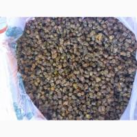 Продам пергу бджолину натуральну