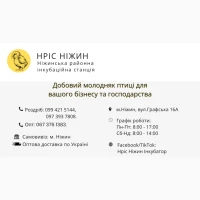 Пропонуємо добового Бройлера, Домінант, Геркулес, Адлер Сріблястий ОПТ